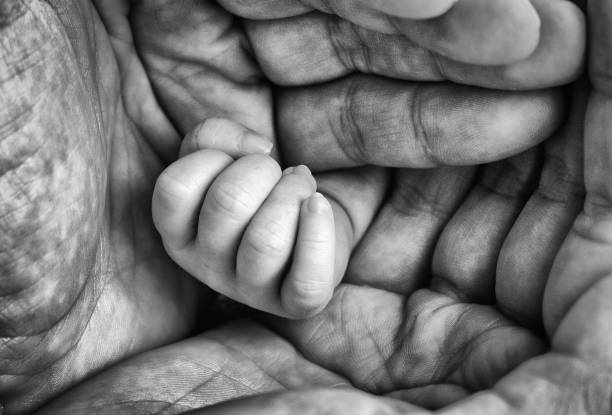 istock Small hand in adult palm 1217114396
