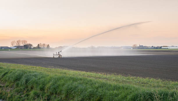 irrigation of an agricultural field in holland with a sprinkler system during a period of drought - netherlands place imagens e fotografias de stock