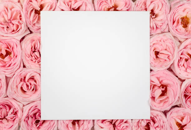 istock Beautiful fresh bunch of pink roses. 1217116236