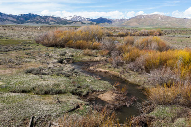 istock Spring in the meadow and mountain range on the background 1217118241