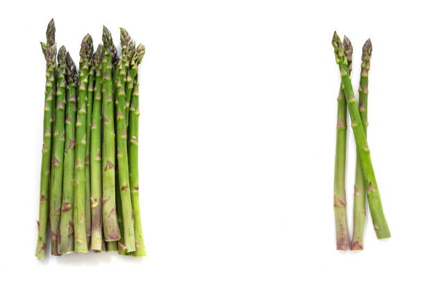 two bunches of organic green asparagus (asparagus officinalis) and copy space in the middle,  isolated with small shadows on a white background, high angle view from above - green asparagus imagens e fotografias de stock