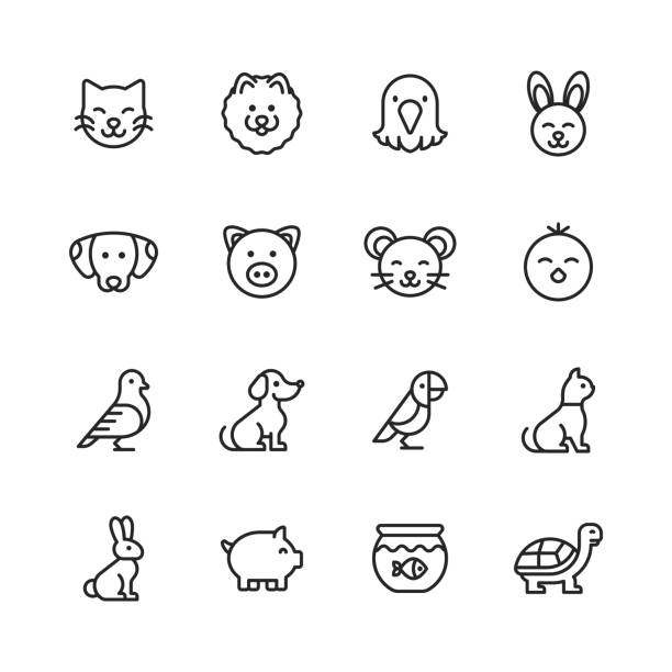 Pets Line Icons. Editable Stroke. Pixel Perfect. For Mobile and Web. Contains such icons as Cat, Kitten, Dog, Puppy, Eagle, Bird, Bunny, Rabbit, Mouse, Chick, Golden Fish, Pig, Tortoise. 16 Pets Outline Icons. pig symbols stock illustrations