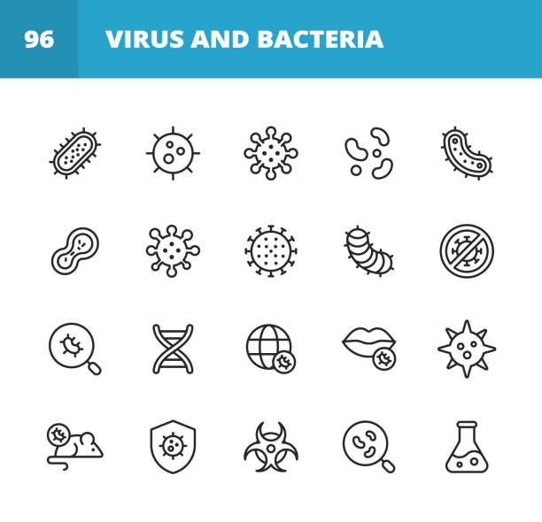 바이러스 및 박테리아 라인 아이콘. 편집 가능한 스트로크입니다. 픽셀 완벽한. 모바일 및 웹용. 박테리아, 감염, 질병, 바이러스, 세포, 독감, 연구, 판데미아, 입 과 같은 아이콘이 들어 있습니� - bacterium stock illustrations