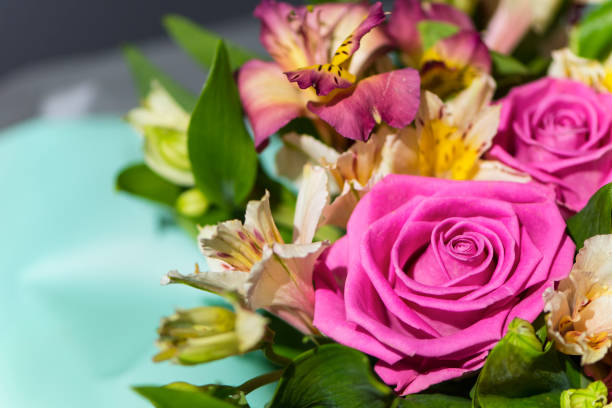 istock background of beautiful pink rose close-up 1217121850