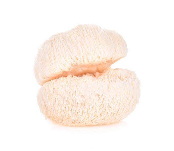 istock lion mane mushroom isolated on white background 1217122016