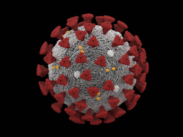 istock Covid-19 Coronavirus SARS-CoV-2 cell pandemic virus 1217123080