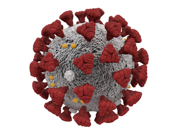istock Covid-19 Coronavirus SARS-CoV-2 cell pandemic virus 1217123081