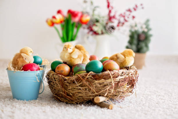 istock Cute little newborn chicks in a bucket and easter eggs 1217123306