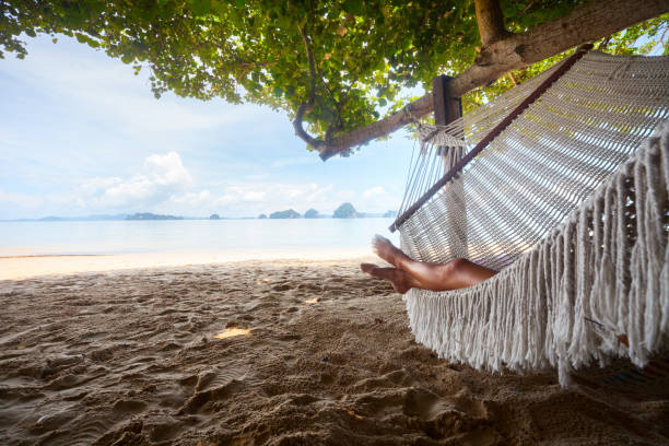 istock Young lady relaxing in the hammock 1217123439