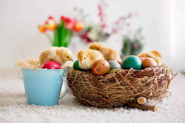 istock Cute little newborn chicks in a bucket and easter eggs 1217123465