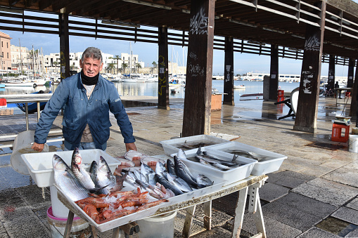 Fisherman working on Transporting fresh small sea fish in crates from fishing boat to pier, for market delivery. It is on Croatia coast on Mediterranean, Europe.