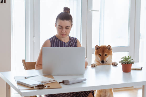 istock Young woman using laptop during COVID-19. Self-isolation and working from home concept. 1217127254