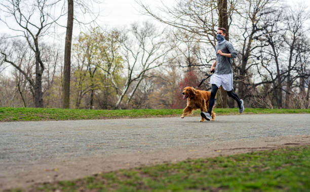 golden retriever i zamaskowany właściciel run w central park podczas coronavirus - bridle path zdjęcia i obrazy z banku zdjęć