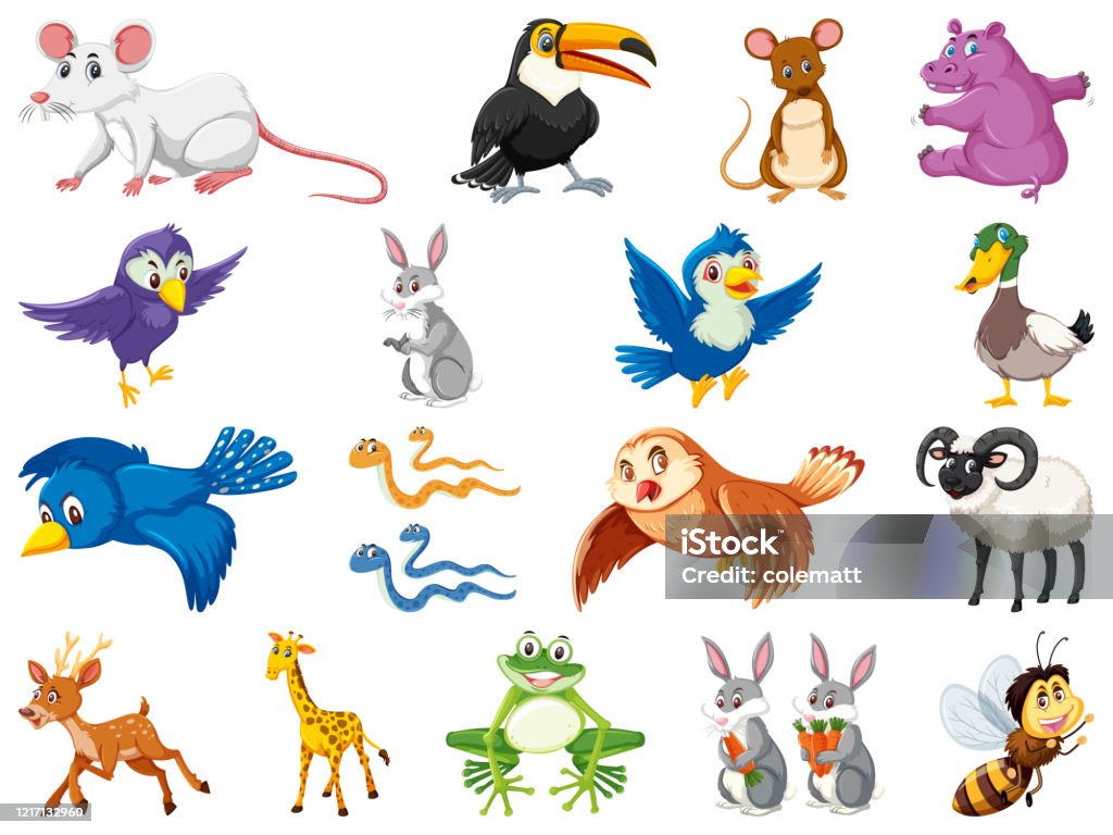 Large Set Of Wild Animals On White Background Stock Illustration - Download Image Now - Animal, Animal Wildlife, Bird - iStock Large Set Of Wild Animals On White Background Stock Illustration - Download Image Now - Animal, Animal Wildlife, Bird - iStock