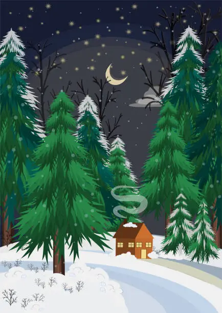 Vector illustration of Greeting card for New Year and Christmas. Winter theme. Season. Graphic drawing. Vector.