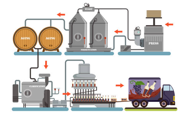 와인 생산 공정, 알코올 음료 만들기 장비, 포도 압착, 발효, 노화, 설명, 병입 벡터 일러스트 - bottling plant winery wine industry stock illustrations