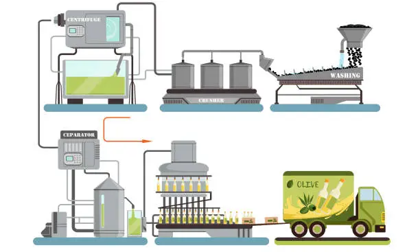 Vector illustration of Olive Oil Production Process, Automated Line of Washing, Crushing, Separating, Bottling, Transporting Vector Illustration