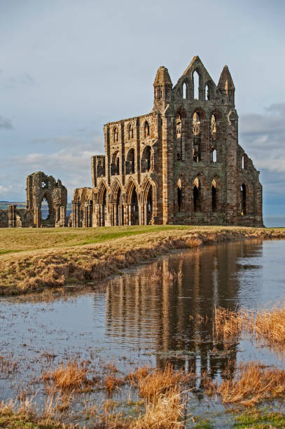 istock View of ancient gothic abbey ruins 1217133588