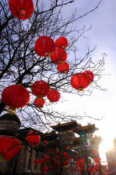 istock Red Lanterns in a tree in Liverpool portrait 1217136568