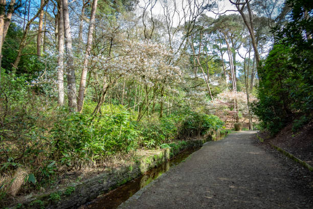 Footpath through Branksome Chine in Poole
