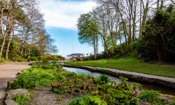 istock Footpath through Branksome Chine in Poole 1217138469