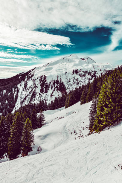 istock Snowy Hillside On Grindelwald First, Switzerland 1217140192