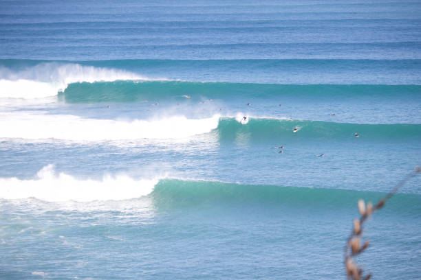 istock New Zealand Surf 1217140706