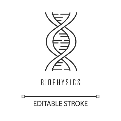 Biophysics linear icon. Genetics. DNA helix molecule structure. Genome scientific studies. Chromosome gene. Thin line illustration. Contour symbol. Vector isolated outline drawing. Editable stroke