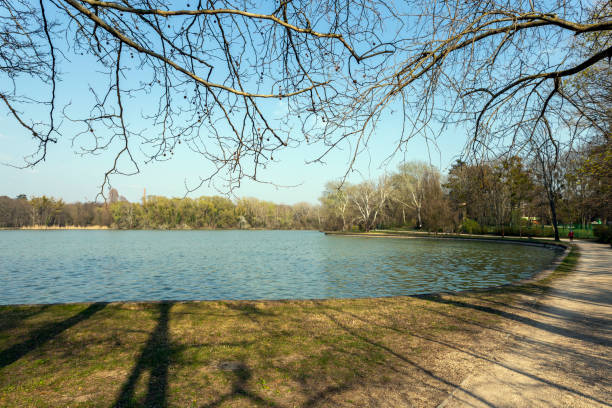istock The Cseke lake in Tata, Hungary. 1217141930