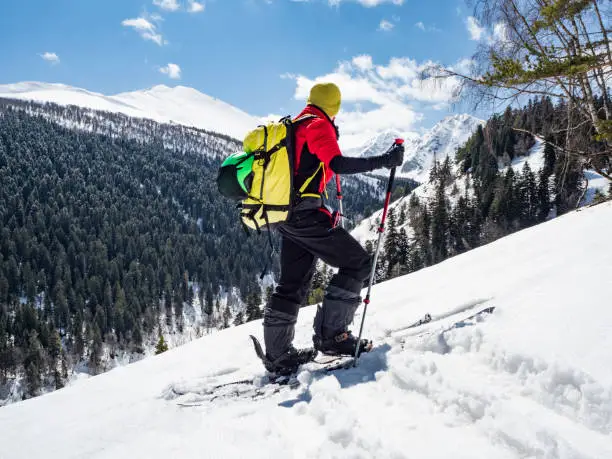 Side view of active man ski touring at mountains and forest background