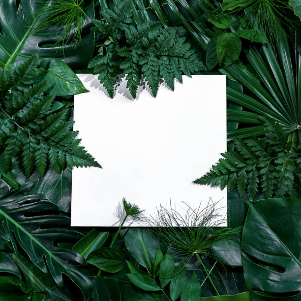 istock green leaves for background and wallpaper 1217151361