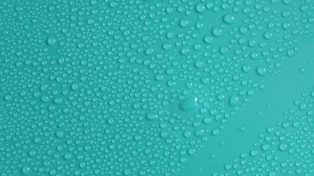 istock water droplets condensate on lid of plastic container 1217153172
