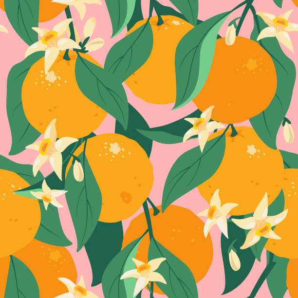 tropische sommer zitrus nahtlose muster mit blättern und blumen. - orangenbaum blüte stock-grafiken, -clipart, -cartoons und -symbole