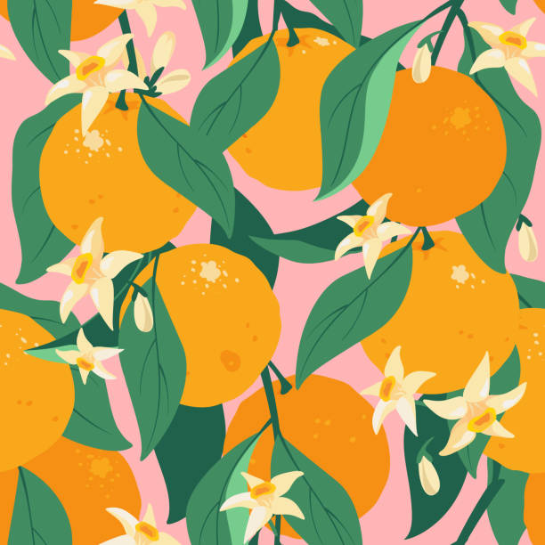 ilustrações de stock, clip art, desenhos animados e ícones de tropical summer citrus seamless pattern with leaves and flowers. - citrus fruit