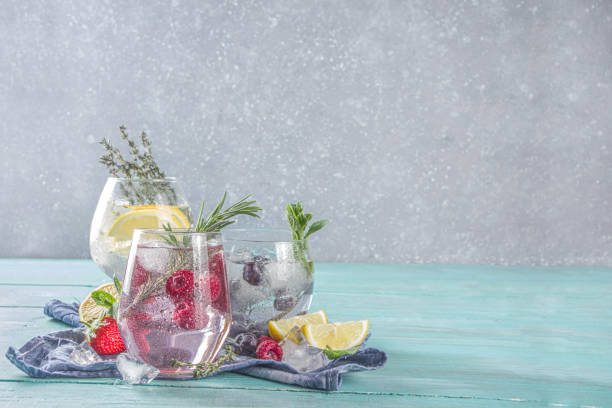 gin tonics de frutas y bayas - raspberry soda fotografías e imágenes de stock