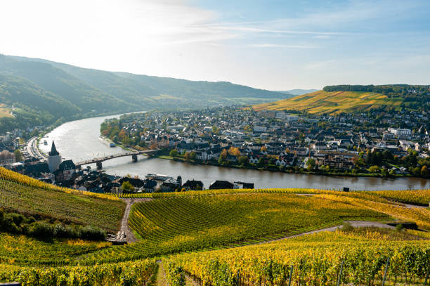 istock Panorama of the River Moselle 1217160094
