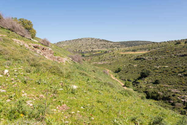 istock Tel Yodfat National Park, Israel 1217161674