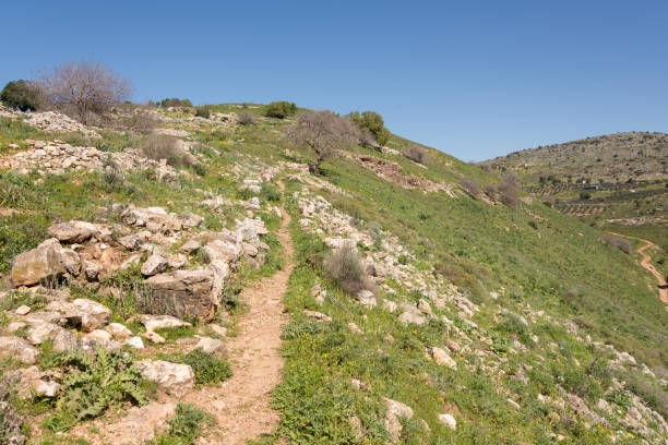istock Tel Yodfat National Park, Israel 1217161965
