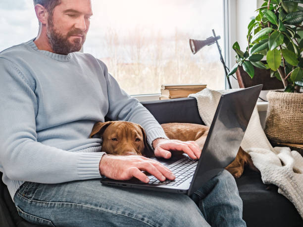 istock Handsome man and a charming puppy. Close-up 1217162457