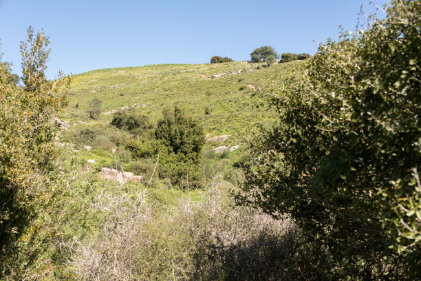 istock Tel Yodfat National Park, Israel 1217163090