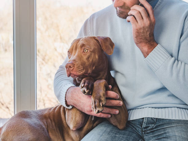 istock Handsome man and a charming puppy. Close-up 1217163821