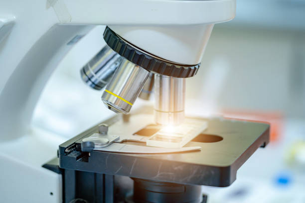 Veterinary Lab Microscope 170+ Veterinary Medicine Vet Technician Microscope Stock Photos ...