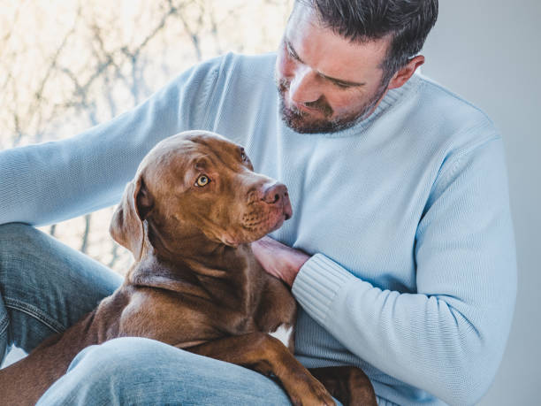 istock Handsome man and a charming puppy. Close-up 1217164017