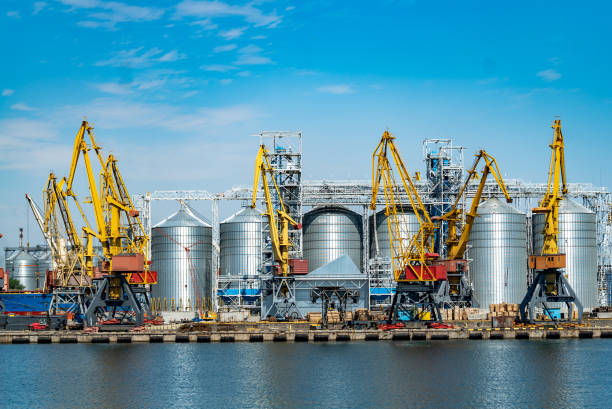 istock Panorama of the port cranes. 1217165069