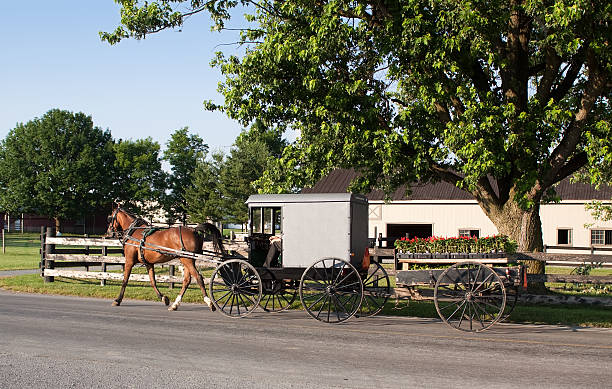 istock Amish Carriage with Flower Cart 121716510