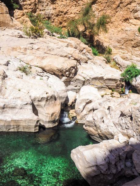 istock Natural Swimming Pool at Wadi Bani Khalid, Oman 1217165502