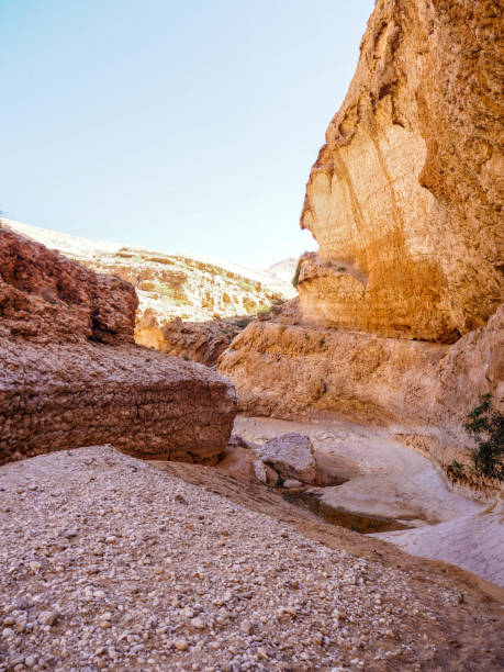 пешие прогулки по вади бани халид, оман - wadi bani khalid стоковые фото и изображения