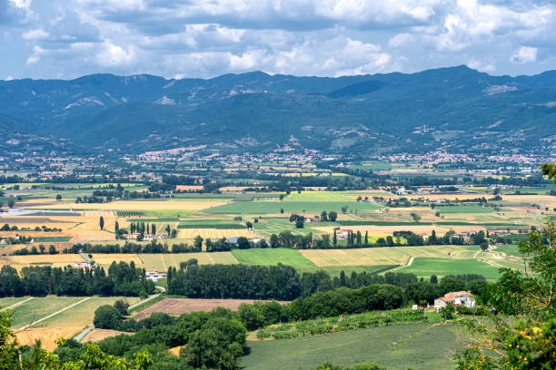 Summer landscape from Citerna, Arezzo, Tuscany, Italy