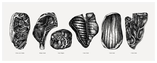 견과류 식물 컬렉션 - steak meat t bone steak raw stock illustrations