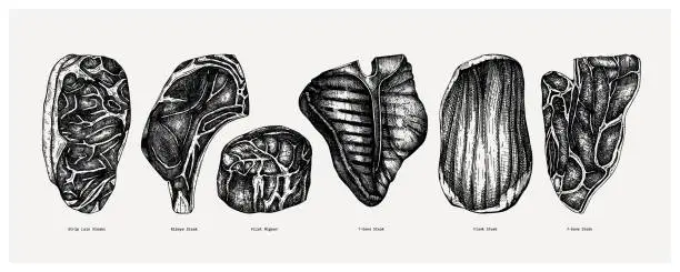 Vector illustration of Nuts plants collection